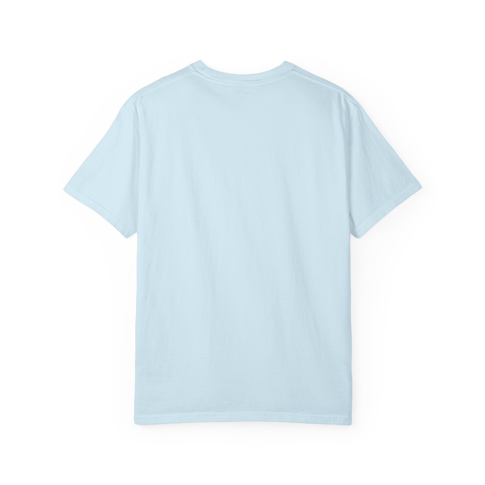 Nosignal Unisex Garment-Dyed T-shirt