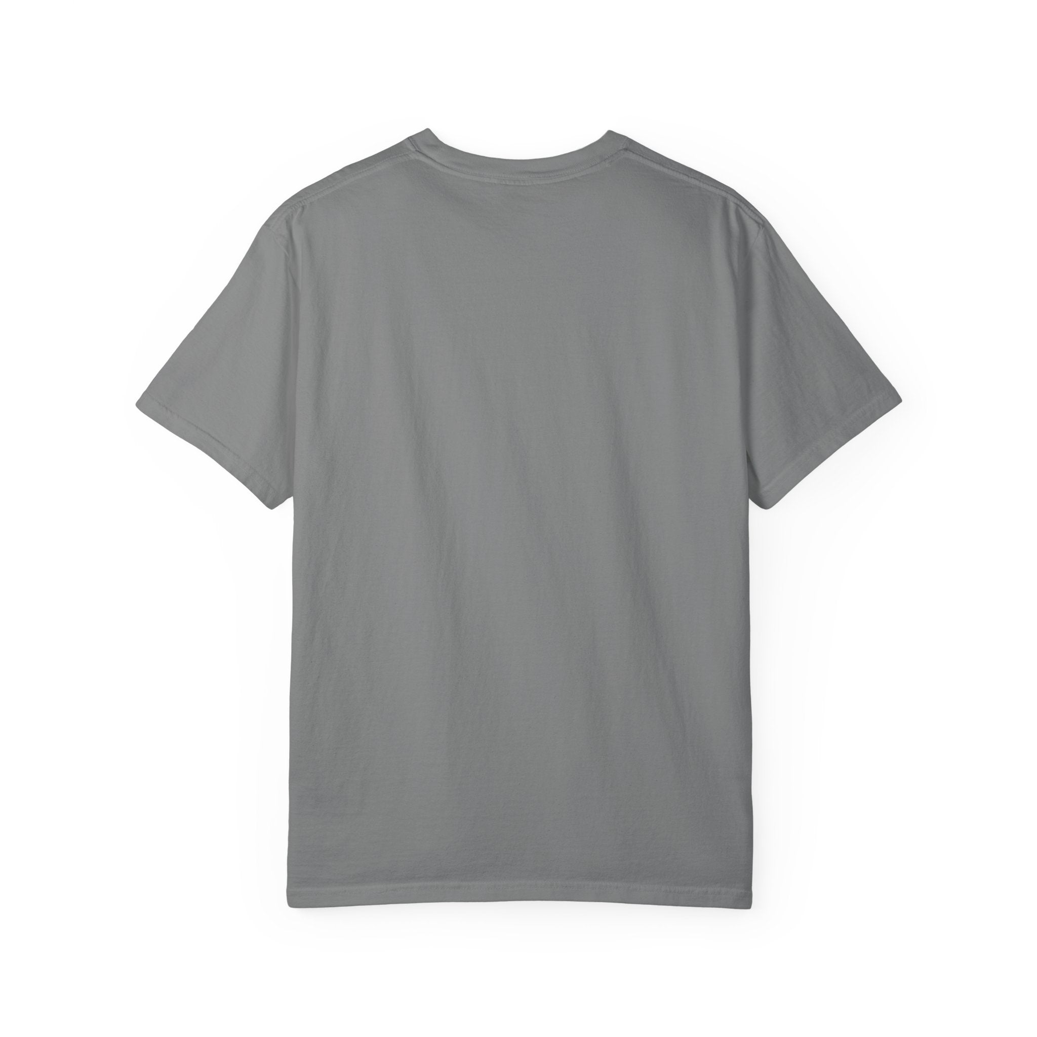 Nosignal Unisex Garment-Dyed T-shirt