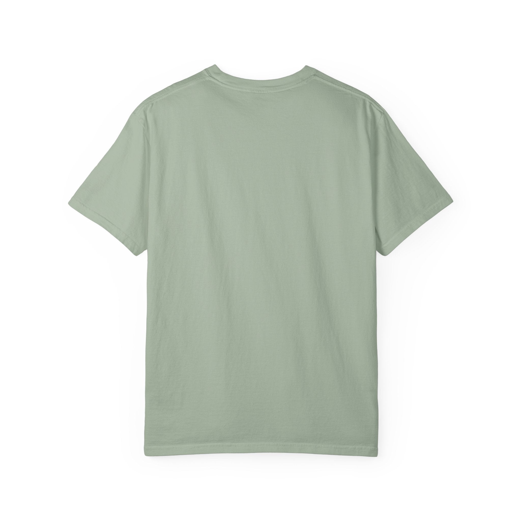 Nosignal Unisex Garment-Dyed T-shirt