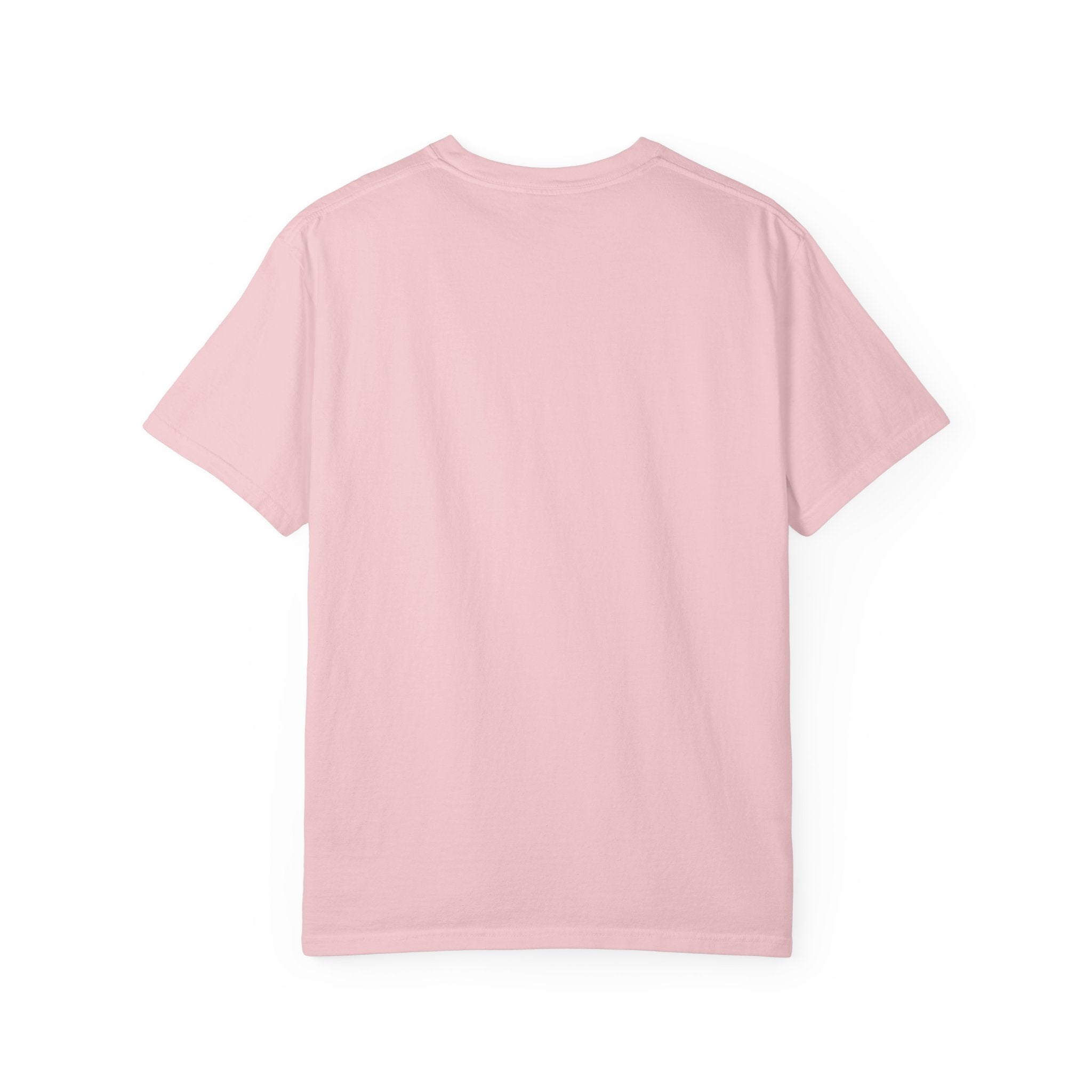 Nosignal Unisex Garment-Dyed T-shirt