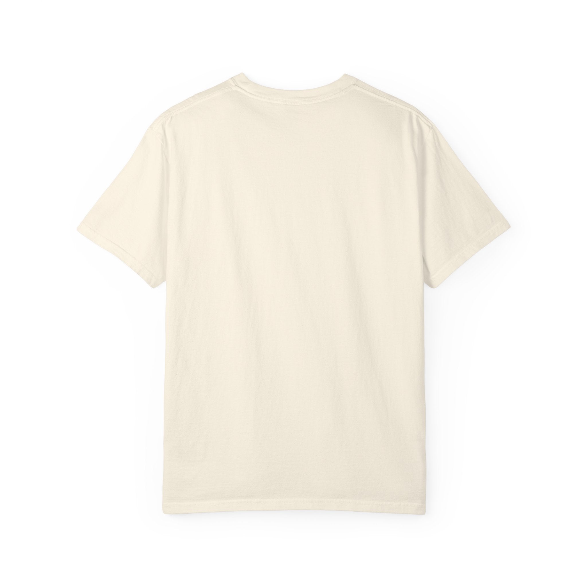 Nosignal Unisex Garment-Dyed T-shirt