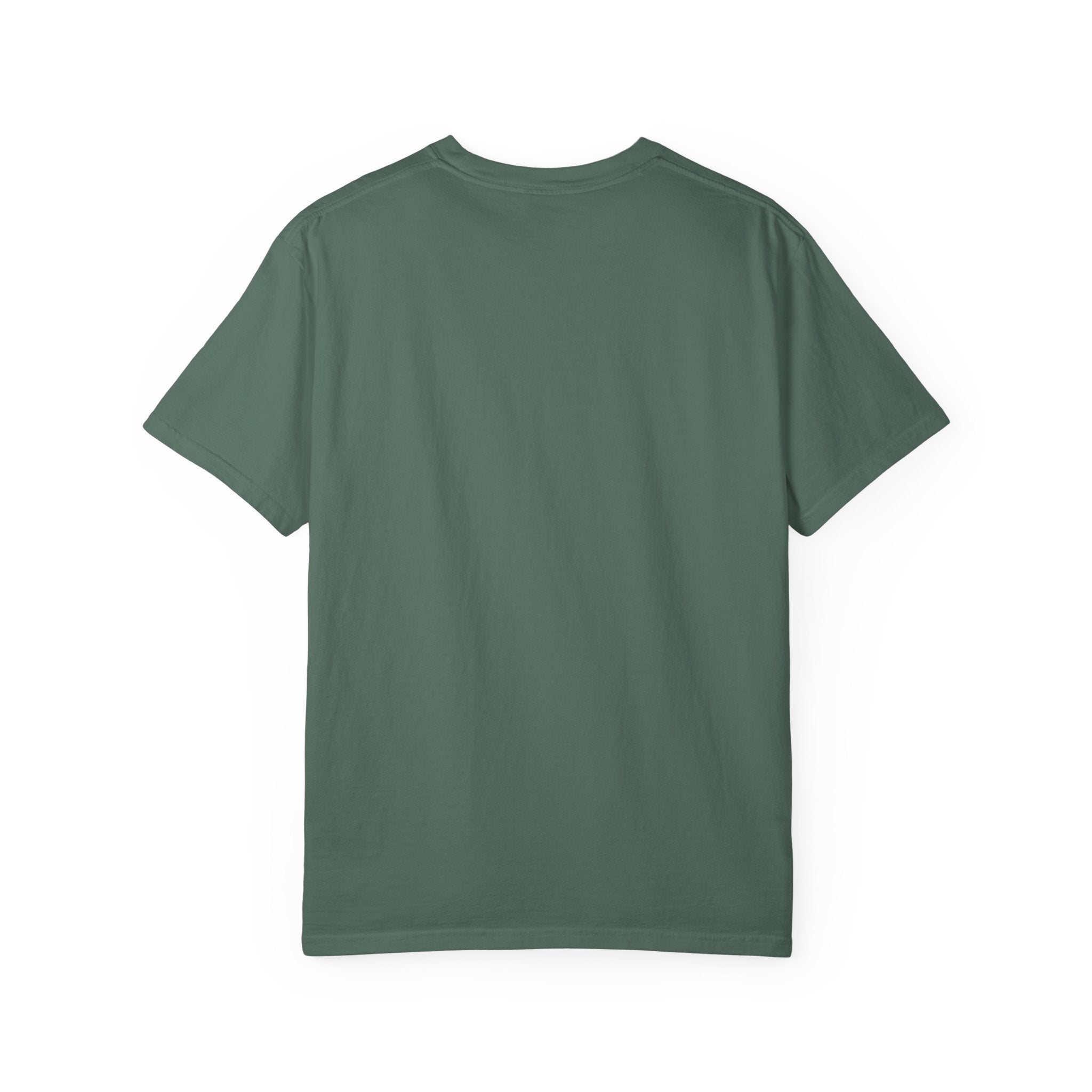 Nosignal Unisex Garment-Dyed T-shirt