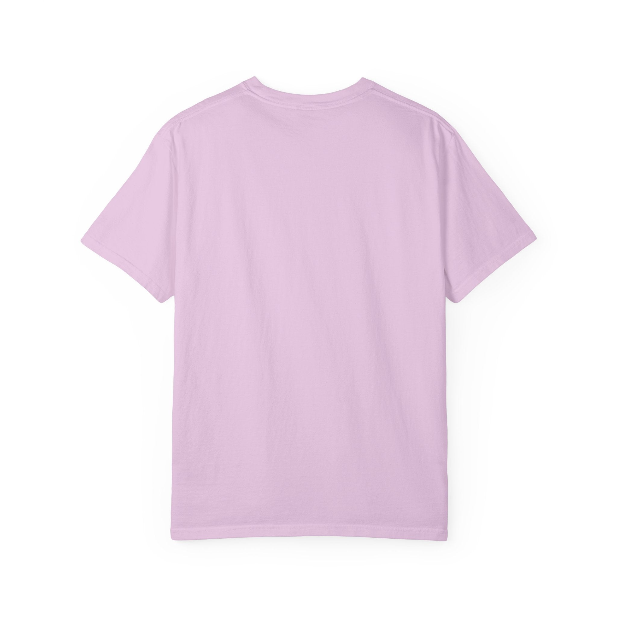 Nosignal Unisex Garment-Dyed T-shirt