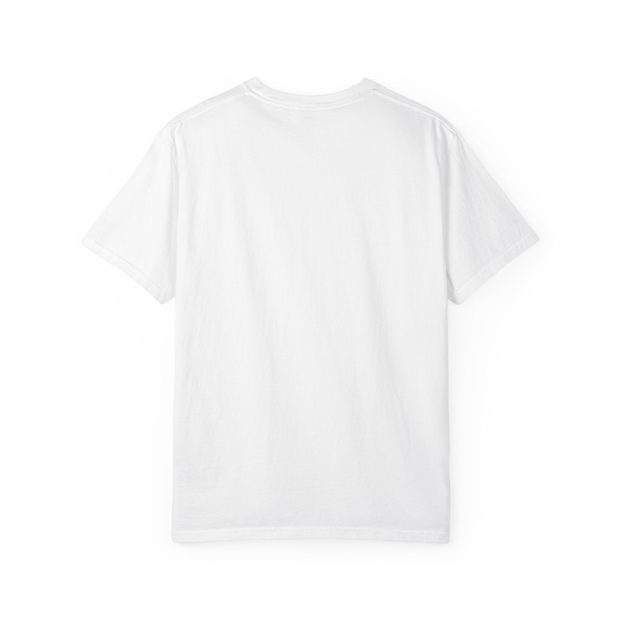 Nosignal Unisex Garment-Dyed T-shirt