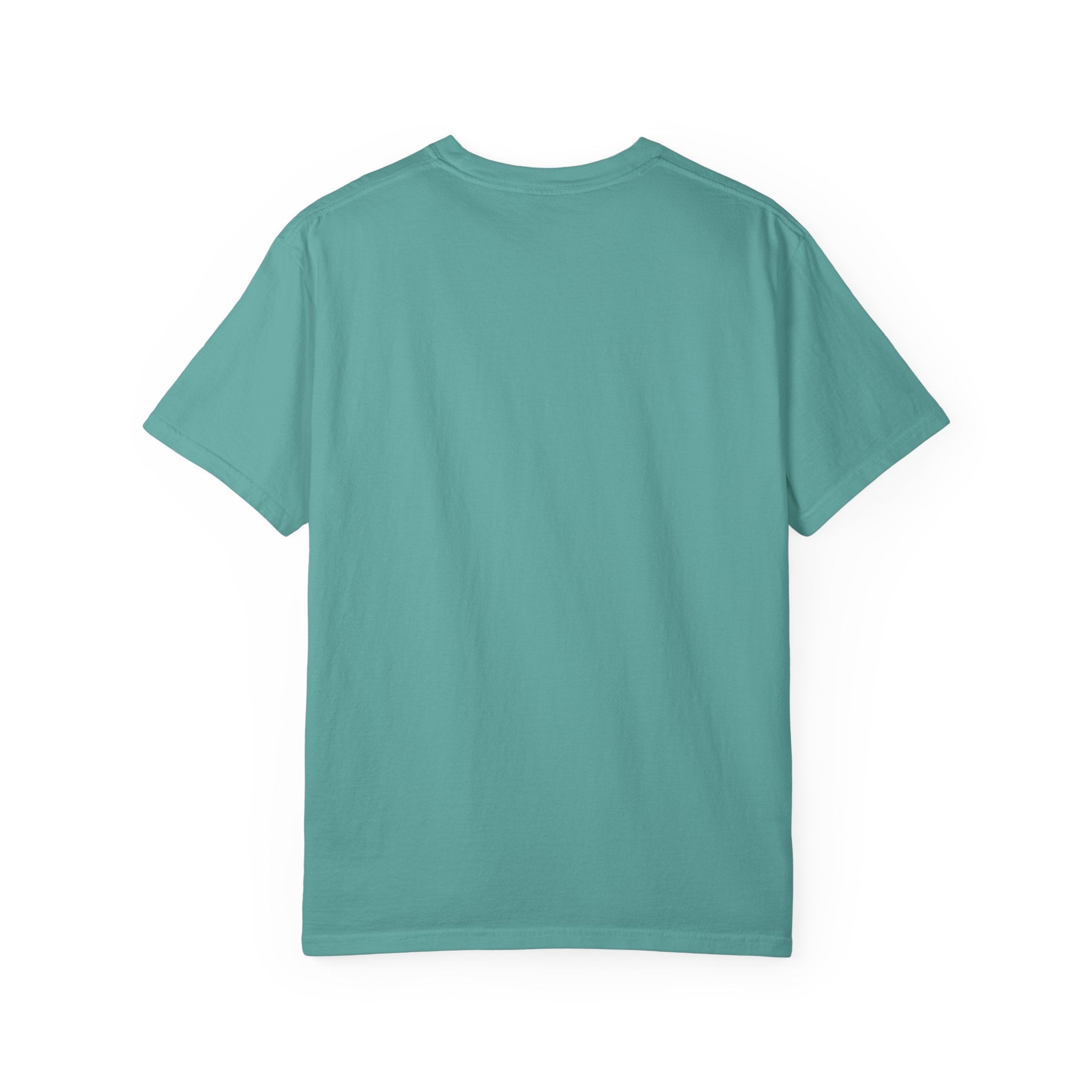 Nosignal Unisex Garment-Dyed T-shirt