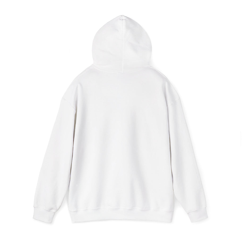NoSignal Unisex Heavy Blend™ Hooded Sweatshirt