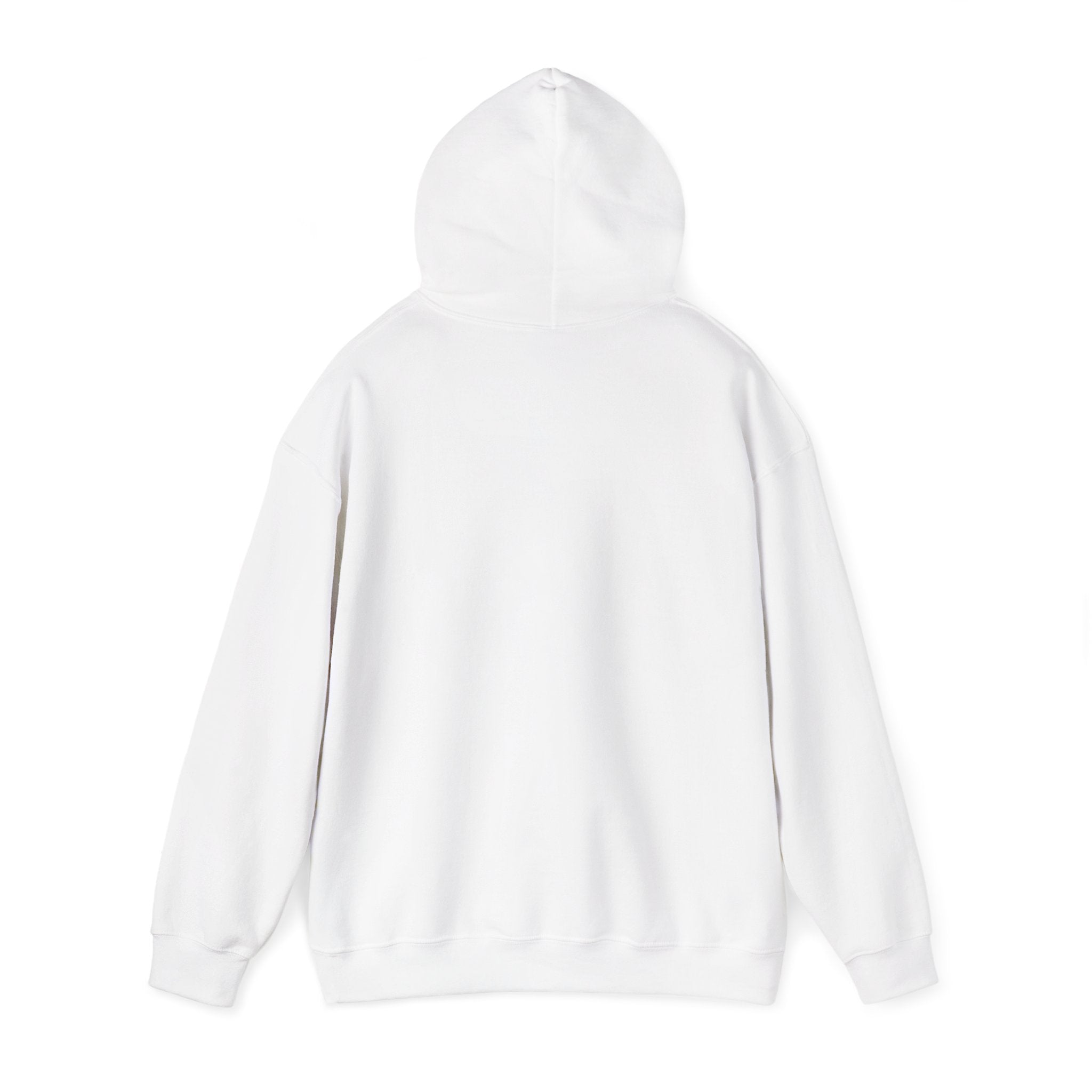 NoSignal Unisex Heavy Blend™ Hooded Sweatshirt