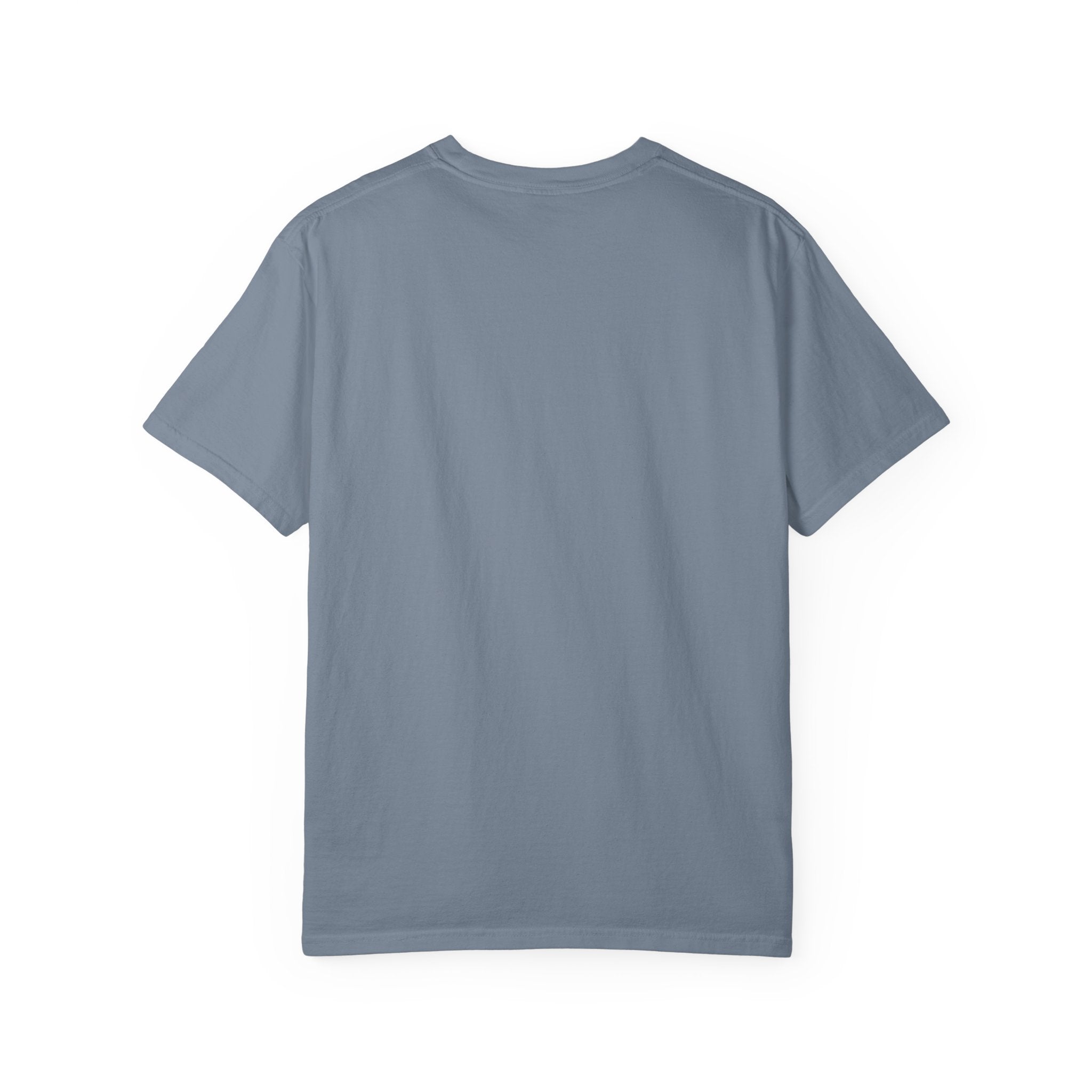 Nosignal Unisex Garment-Dyed T-shirt
